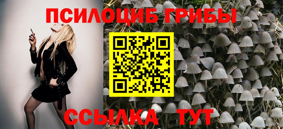 Псилоцибиновые грибы MAGIC MUSHROOMS  Вход с VPN  Саратов 