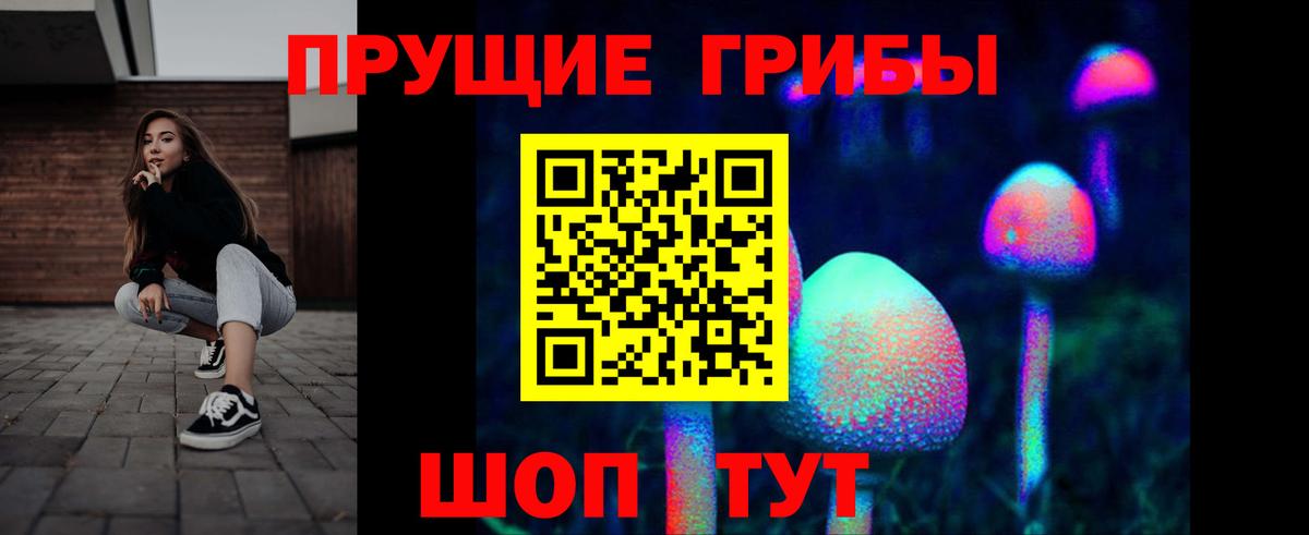 Галлюциногенные грибы GOLDEN TEACHER Саратов